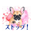 水彩感じるフレンチ・ブルドッグスタンプ（個別スタンプ：15）