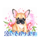 水彩感じるフレンチ・ブルドッグスタンプ（個別スタンプ：16）
