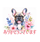 水彩感じるフレンチ・ブルドッグスタンプ（個別スタンプ：36）