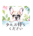 水彩感じるフレンチ・ブルドッグスタンプ（個別スタンプ：37）