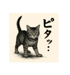 水墨チックな猫 感情爆発スタンプ（個別スタンプ：7）