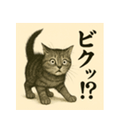 水墨チックな猫 感情爆発スタンプ（個別スタンプ：16）