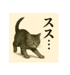 水墨チックな猫 感情爆発スタンプ（個別スタンプ：17）