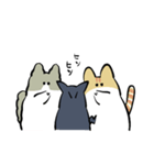秀さんちのゆるねこ日記3（個別スタンプ：31）