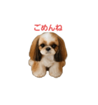 シーズーあずきちゃん（個別スタンプ：8）
