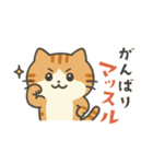 茶トラ猫のダジャレスタンプ（個別スタンプ：18）