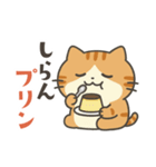 茶トラ猫のダジャレスタンプ（個別スタンプ：24）