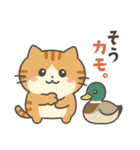 茶トラ猫のダジャレスタンプ（個別スタンプ：26）