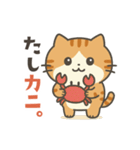 茶トラ猫のダジャレスタンプ（個別スタンプ：29）