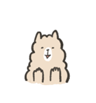 ふわふわアルパカのAio＆Paca（個別スタンプ：3）