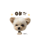うにちゃん♡デフォルメ（個別スタンプ：1）