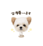 うにちゃん♡デフォルメ（個別スタンプ：5）