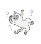 40匹のねこの、みんなでリアクション！（個別スタンプ：6）