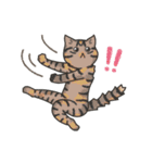 40匹のねこの、みんなでリアクション！（個別スタンプ：7）