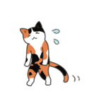 40匹のねこの、みんなでリアクション！（個別スタンプ：14）