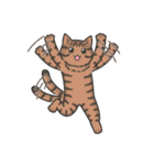 40匹のねこの、みんなでリアクション！（個別スタンプ：17）