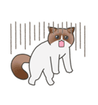 40匹のねこの、みんなでリアクション！（個別スタンプ：21）