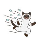 40匹のねこの、みんなでリアクション！（個別スタンプ：36）