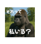 実写 ゴリラ 心の声（個別スタンプ：1）