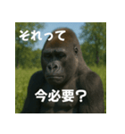 実写 ゴリラ 心の声（個別スタンプ：2）