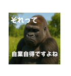 実写 ゴリラ 心の声（個別スタンプ：4）
