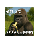 実写 ゴリラ 心の声（個別スタンプ：8）