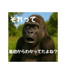 実写 ゴリラ 心の声（個別スタンプ：10）