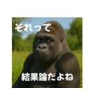 実写 ゴリラ 心の声（個別スタンプ：11）