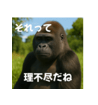実写 ゴリラ 心の声（個別スタンプ：12）