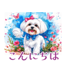 水彩感じるマルチーズスタンプ（個別スタンプ：1）