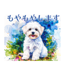 水彩感じるマルチーズスタンプ（個別スタンプ：7）