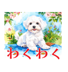 水彩感じるマルチーズスタンプ（個別スタンプ：8）