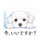 水彩感じるマルチーズスタンプ（個別スタンプ：10）