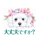 水彩感じるマルチーズスタンプ（個別スタンプ：14）