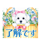 水彩感じるマルチーズスタンプ（個別スタンプ：17）