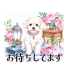 水彩感じるマルチーズスタンプ（個別スタンプ：18）