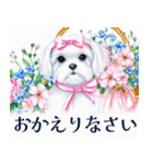 水彩感じるマルチーズスタンプ（個別スタンプ：19）
