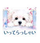 水彩感じるマルチーズスタンプ（個別スタンプ：22）