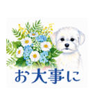 水彩感じるマルチーズスタンプ（個別スタンプ：24）