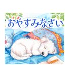 水彩感じるマルチーズスタンプ（個別スタンプ：25）