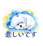 水彩感じるマルチーズスタンプ（個別スタンプ：26）