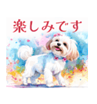 水彩感じるマルチーズスタンプ（個別スタンプ：27）
