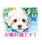 水彩感じるマルチーズスタンプ（個別スタンプ：28）