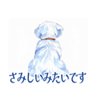 水彩感じるマルチーズスタンプ（個別スタンプ：29）