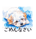 水彩感じるマルチーズスタンプ（個別スタンプ：31）