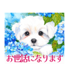 水彩感じるマルチーズスタンプ（個別スタンプ：32）