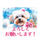 水彩感じるマルチーズスタンプ（個別スタンプ：34）