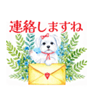 水彩感じるマルチーズスタンプ（個別スタンプ：36）
