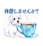 水彩感じるマルチーズスタンプ（個別スタンプ：37）