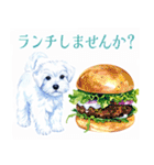 水彩感じるマルチーズスタンプ（個別スタンプ：38）